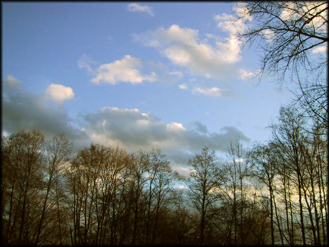 [just a scenery:March 13, 2001, Spring Sky]