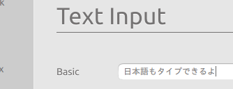 Text Inputに入力